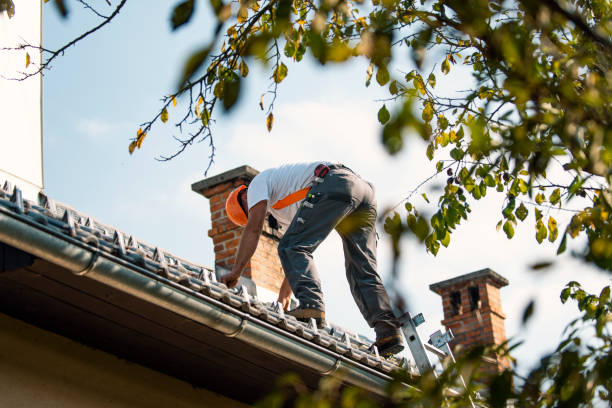 Roof Gutter Cleaning in Fairfax, OH